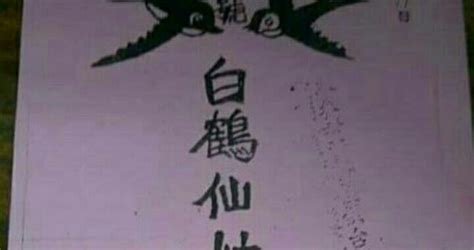 白鶴仙師|鳴鶴拳